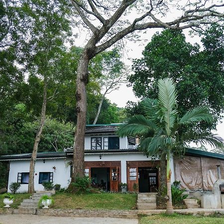 Hotel Welikande Yoga Retreats Digana Zewnętrze zdjęcie