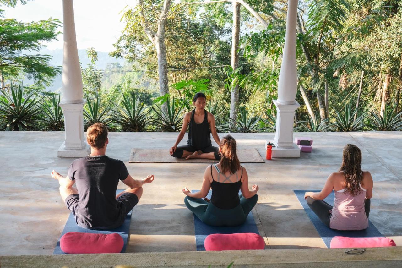 Hotel Welikande Yoga Retreats Digana Zewnętrze zdjęcie