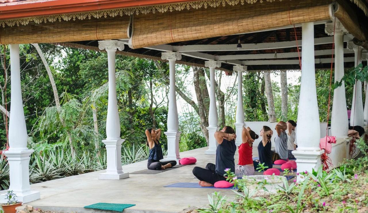 Hotel Welikande Yoga Retreats Digana Zewnętrze zdjęcie